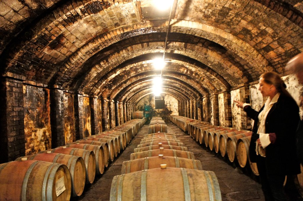 As cantinas onde fazem o vinho da "fattoria"